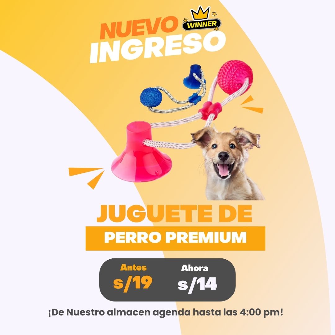 JUGUETE DOG DE PERRO PREMIUN