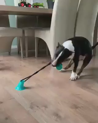 JUGUETE DOG DE PERRO PREMIUN