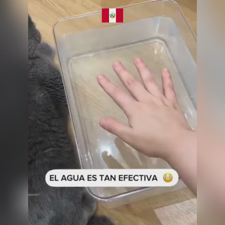 Cepillo De Vapor Para Gatos 3 En 1, Auto limpiante