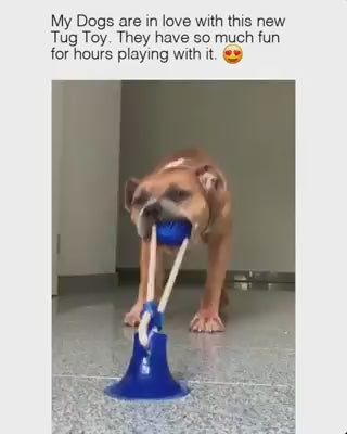 JUGUETE DOG DE PERRO PREMIUN
